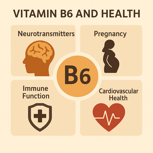 The Power of Vitamin B6: A 7‑Minute Deep Dive