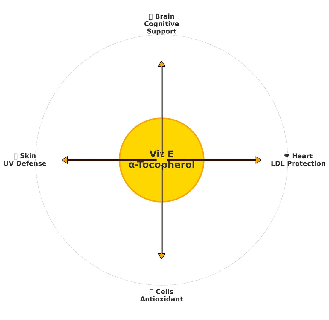 Vitamin E: The Antioxidant Shield for Your Body and Mind