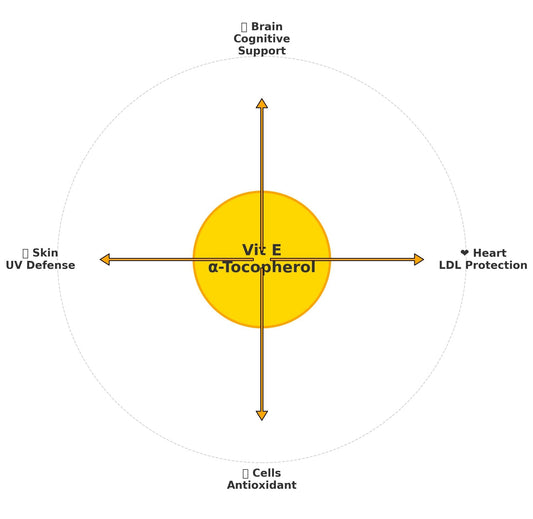 Vitamin E: The Antioxidant Shield for Your Body and Mind