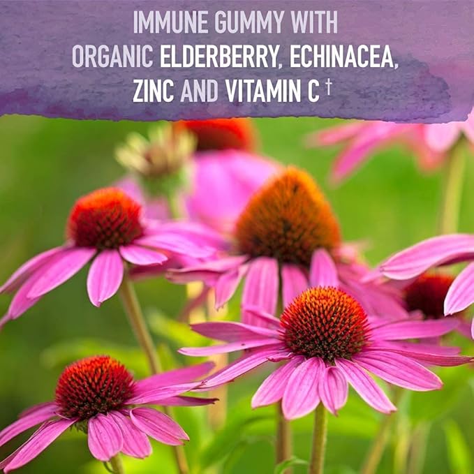 Garden of Life Organics Elderberry Gummies for Adults & Kids - Immune Support Supplement with Organic Fruit & Organics Turmeric Inflammatory Response Gummy - 120 Real Fruit Gummies for Kids & Adults