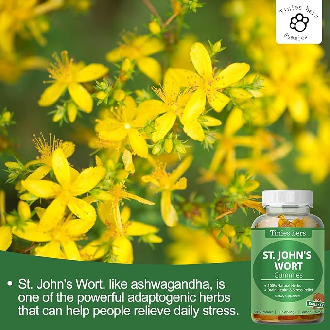 St John's Wort Gummies 500mg, Sugar Free Gummies for Adults Kids, Best Herbs Gummies for Brain and Stress Relief, Non-GMO, Gulten Free, Vegan, Pectin, 60