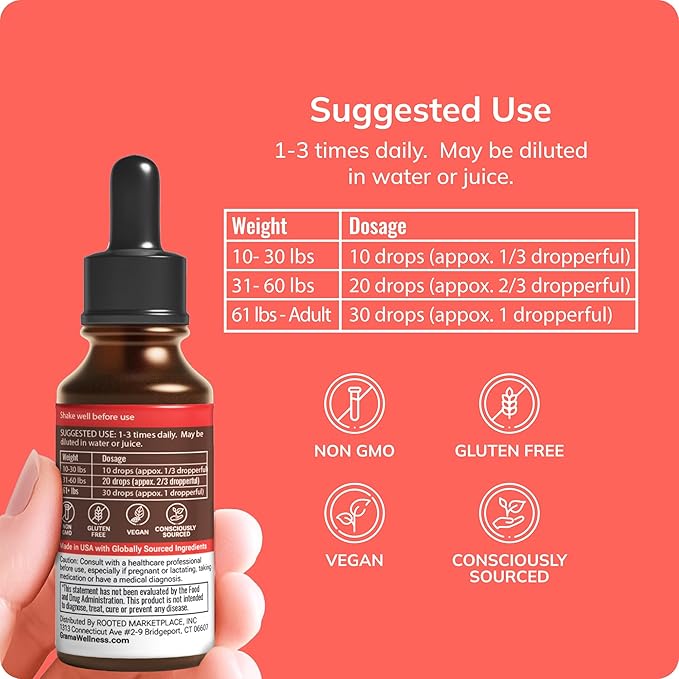 Grama Wellness - Focus & Attention Organic Kids Brain Vitamins & Cognitive Support Drops, ADHD Supplement with Ginkgo Biloba, Rhodiola, Gotu Kola, Licorice Root | Made in USA – 30 Servings