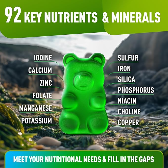 Sea Moss Gummies - Wildcrafted Irish Sea Moss Gummies for Adults & Kids - Seamoss Gel Gummies with Sea Moss Gel, Bladderwrack & Burdock Root Extract - 60 Vegan Sea Moss Gummies