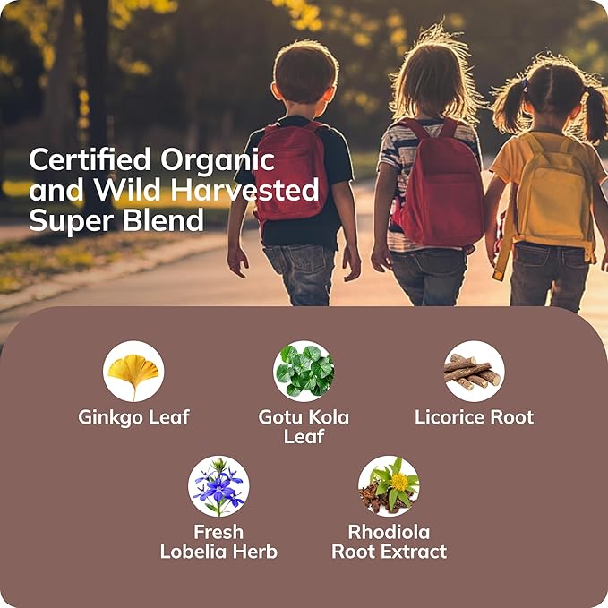 Grama Wellness - Focus & Attention Organic Kids Brain Vitamins & Cognitive Support Drops, ADHD Supplement with Ginkgo Biloba, Rhodiola, Gotu Kola, Licorice Root | Made in USA – 30 Servings