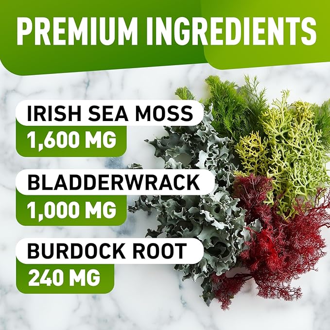 Sea Moss Gummies - Wildcrafted Irish Sea Moss Gummies for Adults & Kids - Seamoss Gel Gummies with Sea Moss Gel, Bladderwrack & Burdock Root Extract - 60 Vegan Sea Moss Gummies