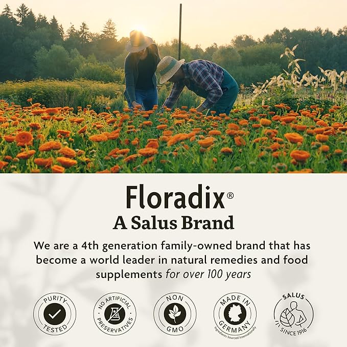 Floradix Floravital Liquid Iron & Vitamins Formula - Liquid Iron Supplement with B Complex Vitamins, Vitamin C & Herbs for Energy Support - Vegan, Gluten-Free, Yeast- Free, Non-GMO - 8.5 Fl Oz