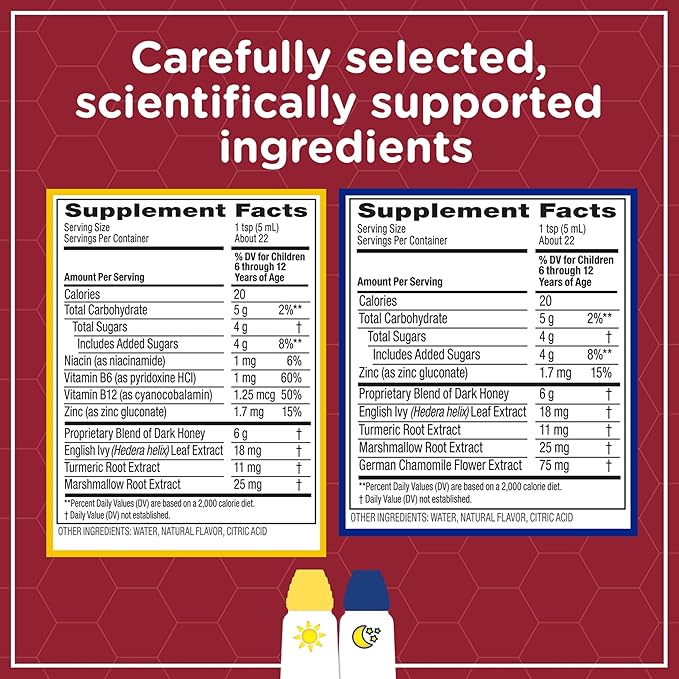 Zarbee's Children's All-in-One Honey Cough Syrup + Mucus, Throat & Nasal Day & Night Value Two Pack for Kids 6-12 + Dark Honey, Ivy Leaf Extract, Zinc Turmeric Root & B-Vitamins, Grape, 2 x 4 fl. Oz