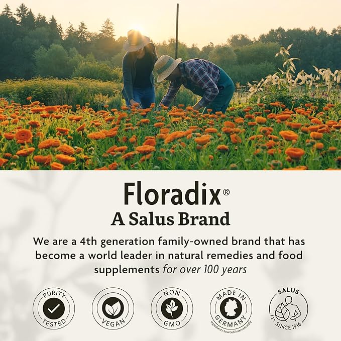 Floradix Iron Tablets - Iron Supplement with Folic Acid, Vitamin C & More - Energy Support - Vegetarian, Gluten-Free - 120 Tablets