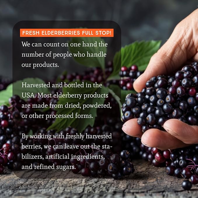 Dr. Appleseed's Organic Elderberry Syrup Max Strength 28,000mg Kids + Adults Daily Immune Supplement Doctor- Formulated Science-Backed Pure Vegan 48 Day Supply – 8 Fl Oz