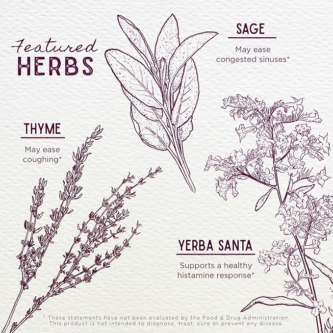 WishGarden Herbs Congestion Rescue Immune Support for Kids - Plant-Based Immune Support and Decongestant w/Elderflower, Wild Cherry Bark & Yerba Santa, Supports Upper & Lower Respiratory Systems, 2oz